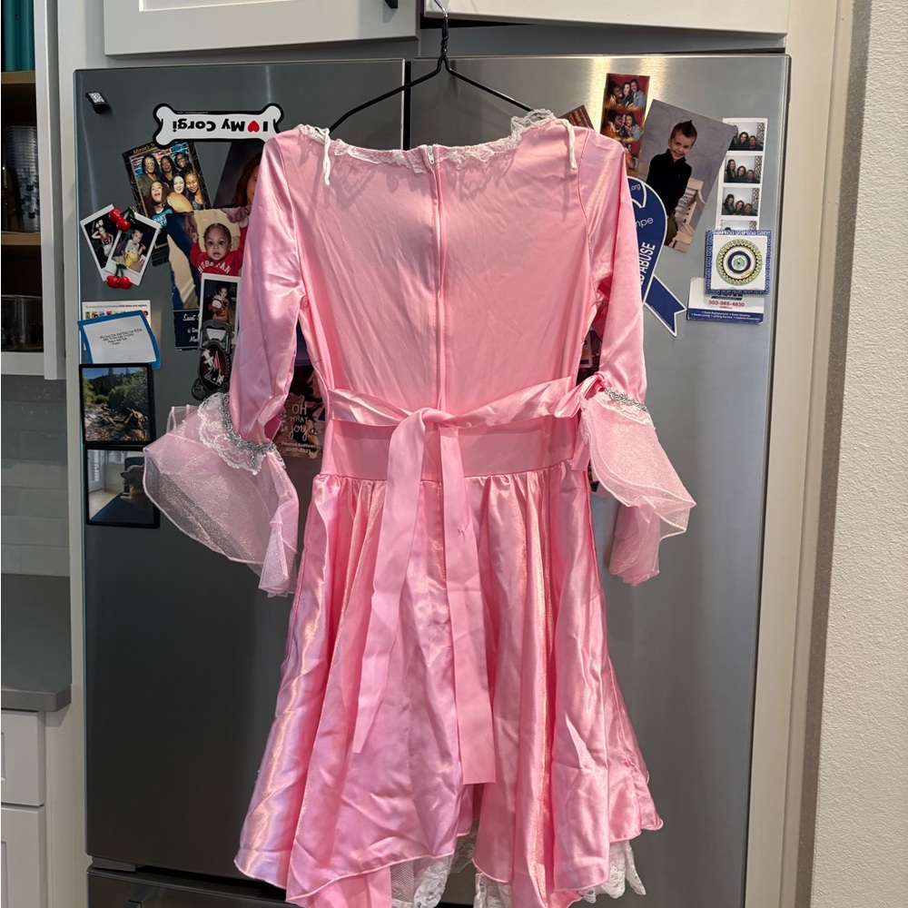 Marie Antoinette Costume - Picture 2 of 3